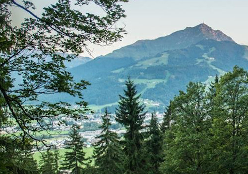 holiday rentals in kitzbuhel